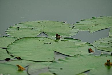 一战生存恐怖游戏《CONSCRIPT》7＆23推出